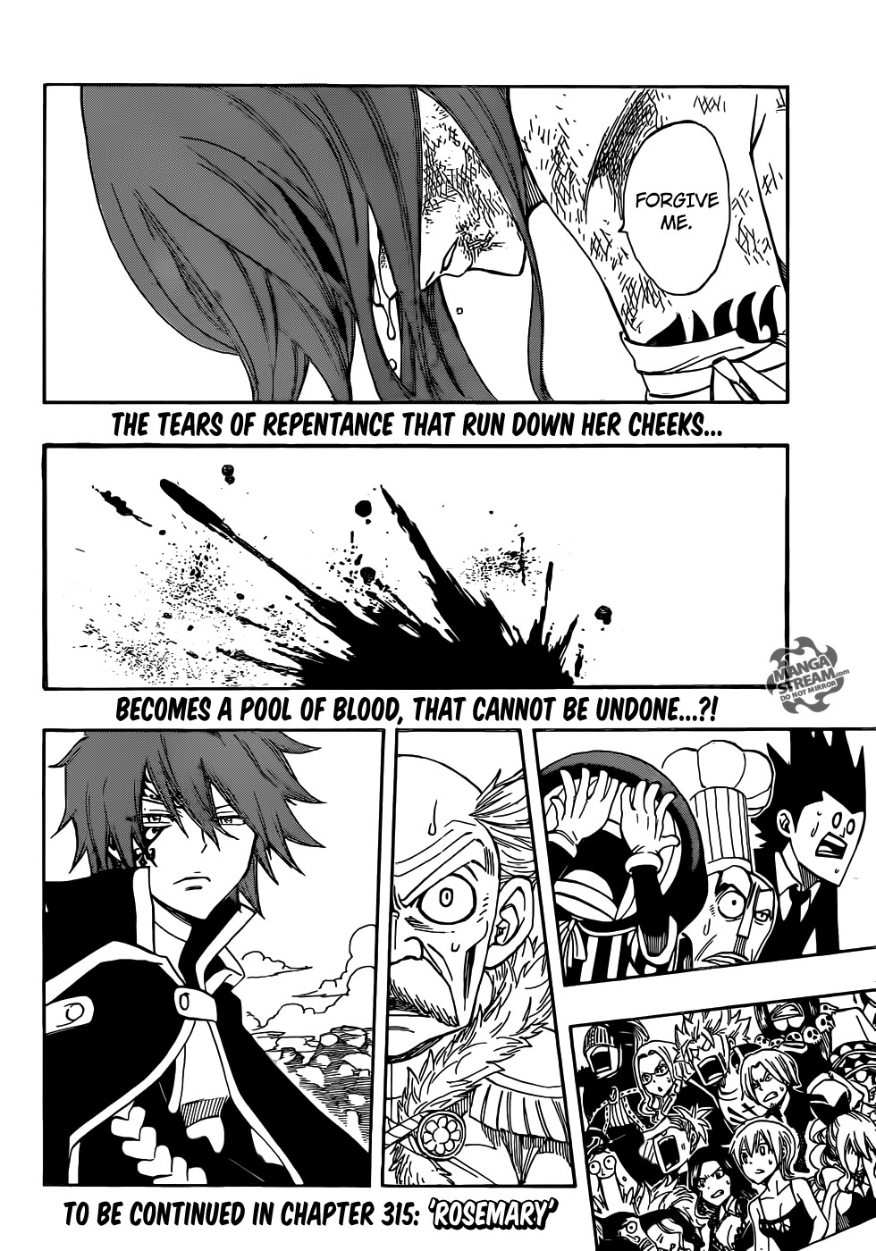 Fairy Tail Chapter 314 23